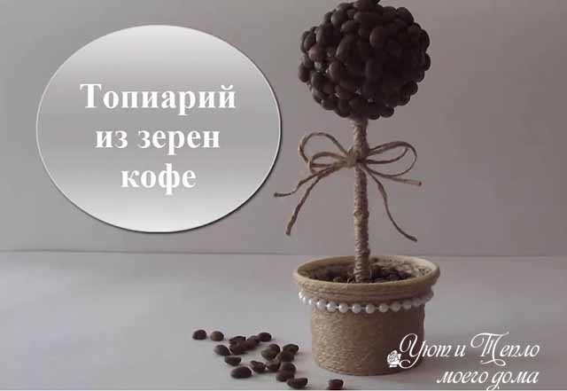 кофейный топиарий из зерен
