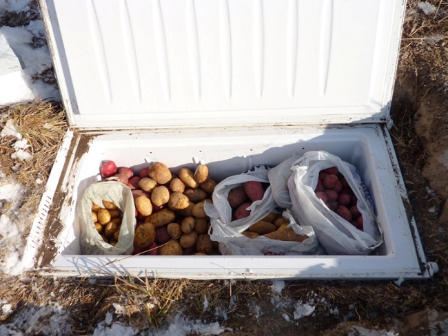 мини погреб из старого холодильника на даче